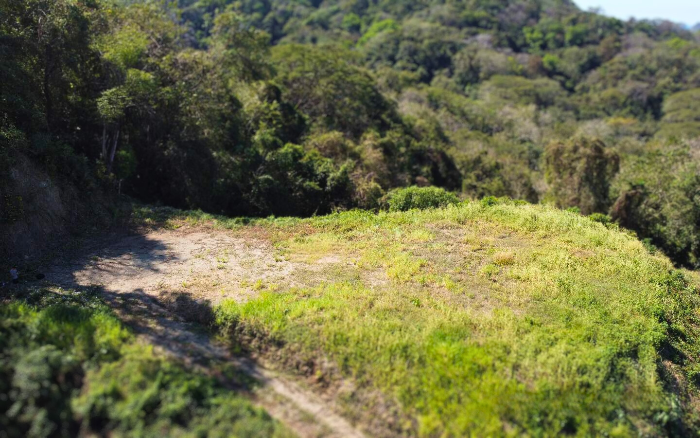 LAND TARANTULA, Sámara