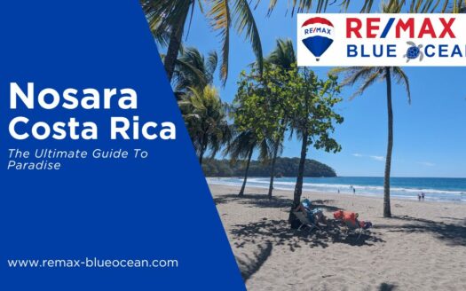 Nosara Costa Rica The Ultimate Guide