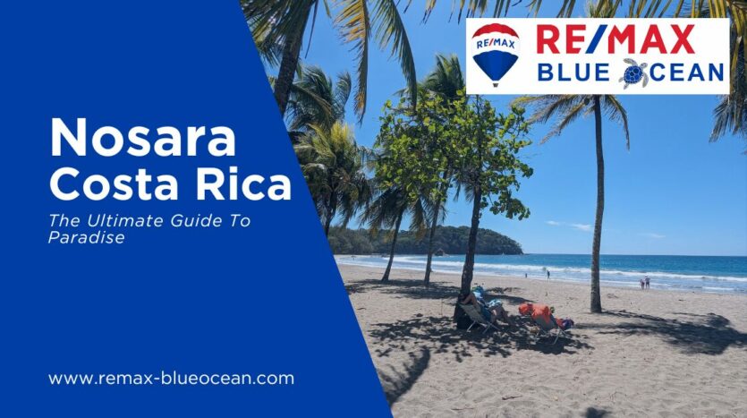 Nosara Costa Rica The Ultimate Guide